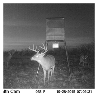 2021 Management photos